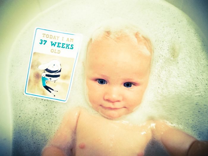 Mum Is Taking Creative Pictures Of Her Daughter Every Week Mum Is Taking Creative Pictures Of Her Daughter Every Week