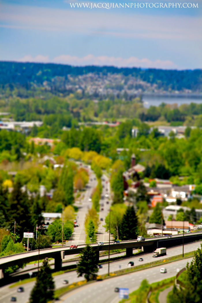 Tiny Seattle: I Photographed Pacific Northwest From A Seaplane Tiny Seattle: I Photographed Pacific Northwest From A Seaplane