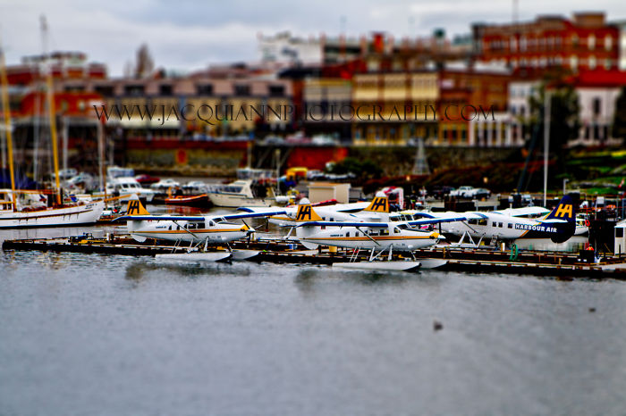 Tiny Seattle: I Photographed Pacific Northwest From A Seaplane Tiny Seattle: I Photographed Pacific Northwest From A Seaplane