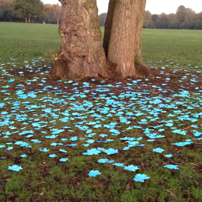 Someone Painted The Leaves Of This Maple In Hamburg And It Looks Beautiful