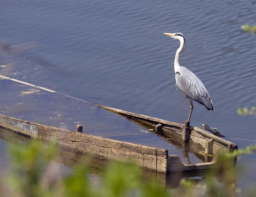 Share Your Pictures Of Stranded Ships Share Your Pictures Of Stranded Ships