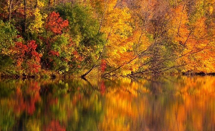 71 Photos Reveal The Full Spectrum Of Autumn’s Colors 71 Photos Reveal The Full Spectrum Of Autumn’s Colors