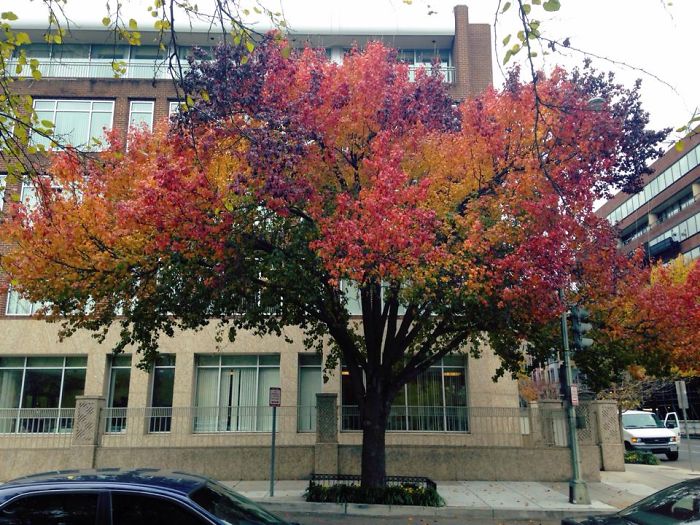 71 Photos Reveal The Full Spectrum Of Autumn’s Colors 71 Photos Reveal The Full Spectrum Of Autumn’s Colors