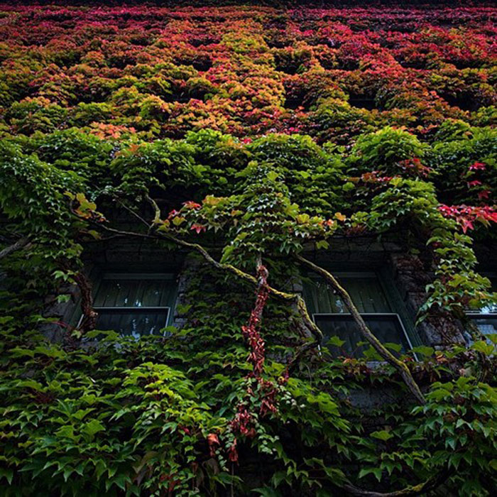 71 Photos Reveal The Full Spectrum Of Autumn’s Colors 71 Photos Reveal The Full Spectrum Of Autumn’s Colors