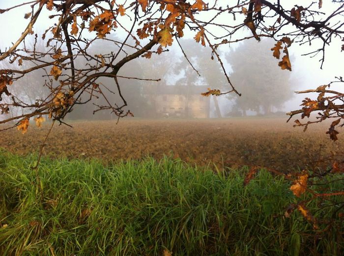 71 Photos Reveal The Full Spectrum Of Autumn’s Colors 71 Photos Reveal The Full Spectrum Of Autumn’s Colors