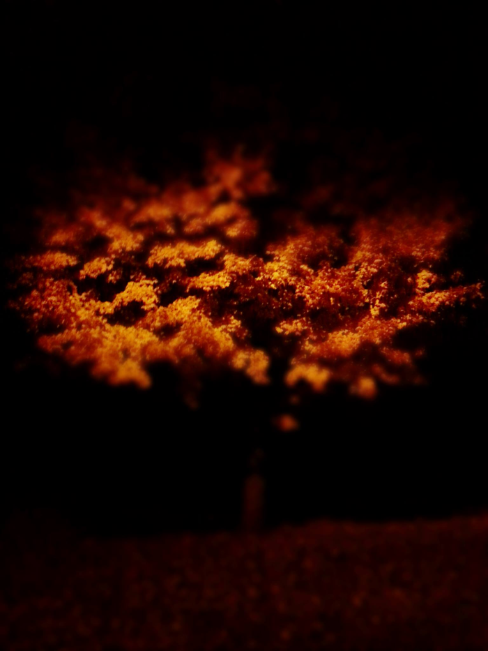 71 Photos Reveal The Full Spectrum Of Autumn’s Colors 71 Photos Reveal The Full Spectrum Of Autumn’s Colors