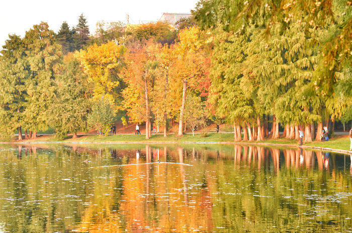 71 Photos Reveal The Full Spectrum Of Autumn’s Colors 71 Photos Reveal The Full Spectrum Of Autumn’s Colors