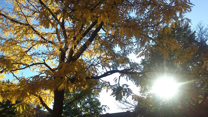 71 Photos Reveal The Full Spectrum Of Autumn’s Colors 71 Photos Reveal The Full Spectrum Of Autumn’s Colors