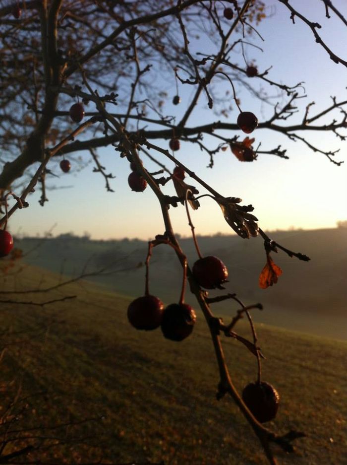 71 Photos Reveal The Full Spectrum Of Autumn’s Colors 71 Photos Reveal The Full Spectrum Of Autumn’s Colors