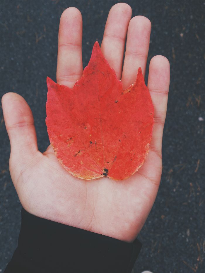 71 Photos Reveal The Full Spectrum Of Autumn’s Colors 71 Photos Reveal The Full Spectrum Of Autumn’s Colors