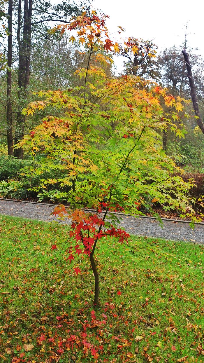 71 Photos Reveal The Full Spectrum Of Autumn’s Colors 71 Photos Reveal The Full Spectrum Of Autumn’s Colors