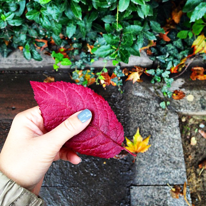 71 Photos Reveal The Full Spectrum Of Autumn’s Colors 71 Photos Reveal The Full Spectrum Of Autumn’s Colors