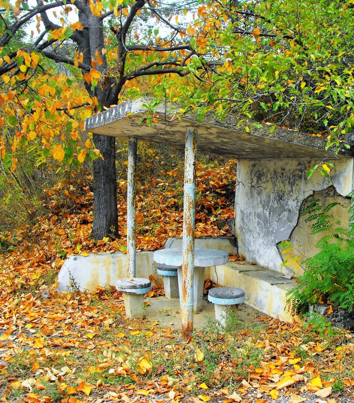 71 Photos Reveal The Full Spectrum Of Autumn’s Colors 71 Photos Reveal The Full Spectrum Of Autumn’s Colors