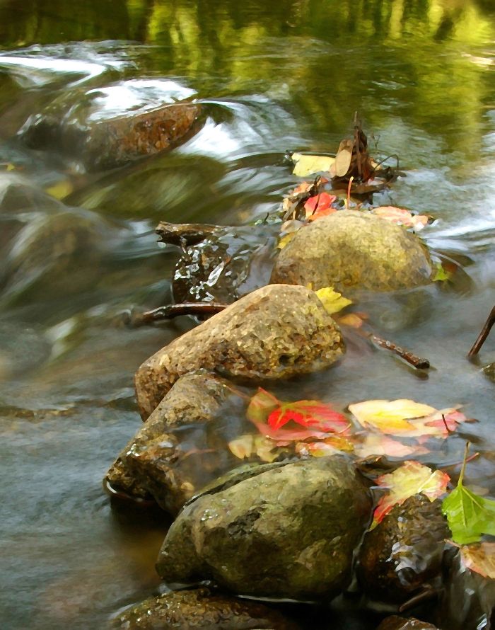 71 Photos Reveal The Full Spectrum Of Autumn’s Colors 71 Photos Reveal The Full Spectrum Of Autumn’s Colors