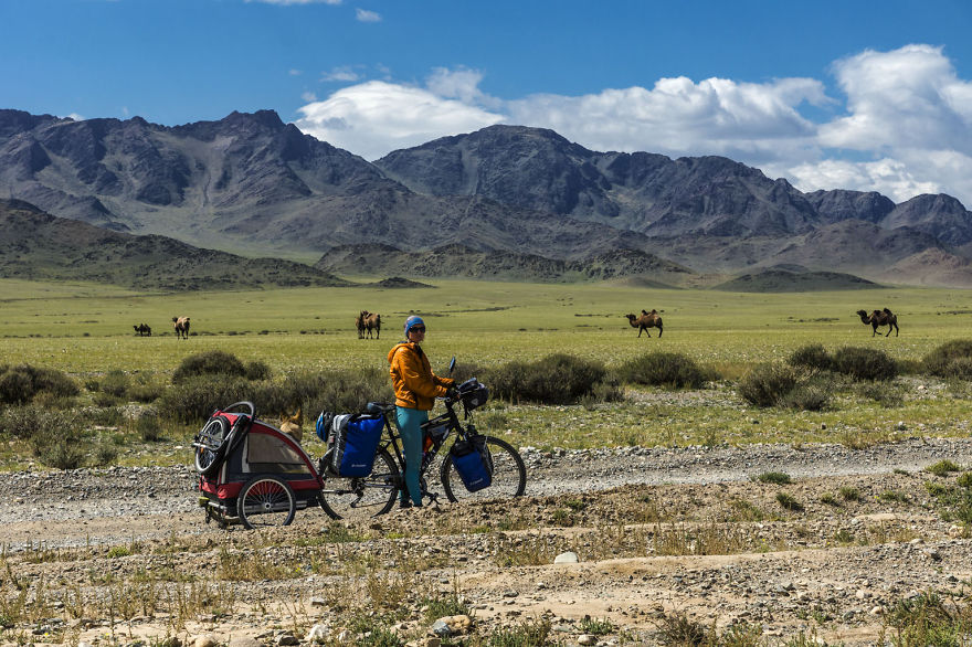 Going For A Travel? Take Your Dog With You.You Won’t Regret It! Going For A Travel? Take Your Dog With You.You Won’t Regret It!