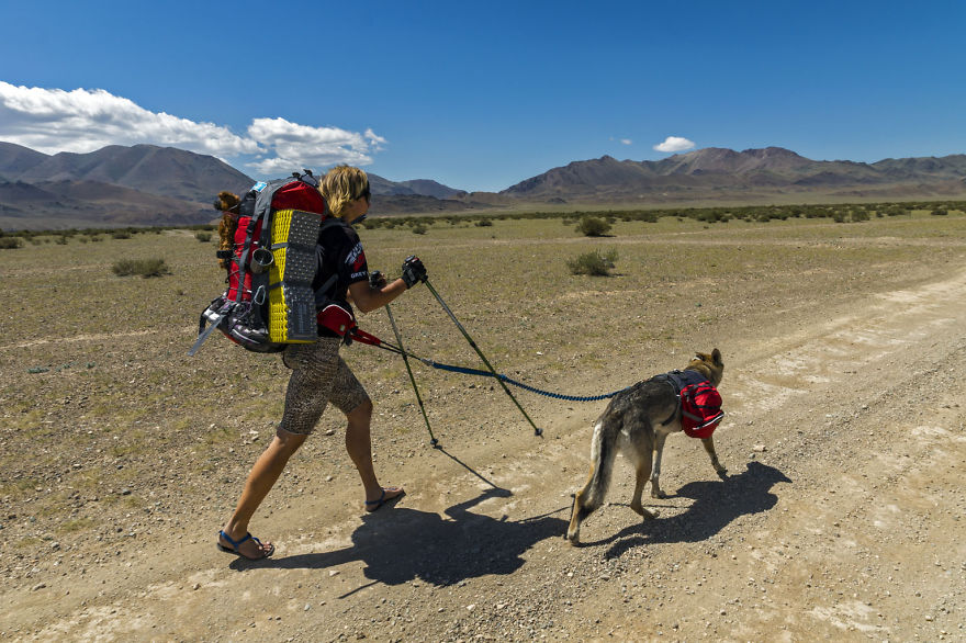 Going For A Travel? Take Your Dog With You.You Won’t Regret It! Going For A Travel? Take Your Dog With You.You Won’t Regret It!
