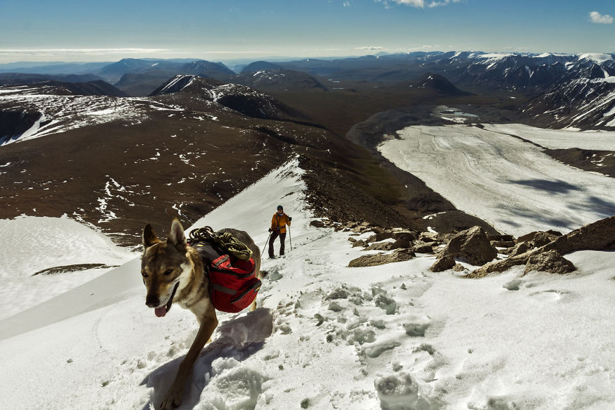 Going For A Travel? Take Your Dog With You.You Won’t Regret It! Going For A Travel? Take Your Dog With You.You Won’t Regret It!