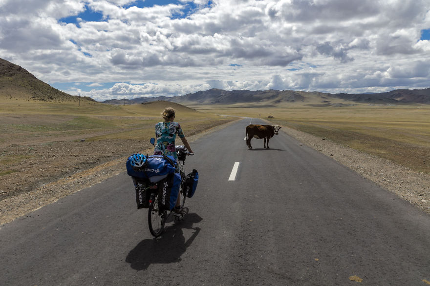 Going For A Travel? Take Your Dog With You.You Won’t Regret It! Going For A Travel? Take Your Dog With You.You Won’t Regret It!