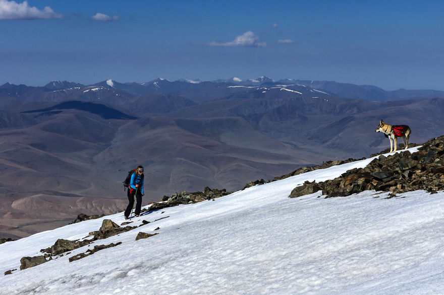 Going For A Travel? Take Your Dog With You.You Won’t Regret It! Going For A Travel? Take Your Dog With You.You Won’t Regret It!