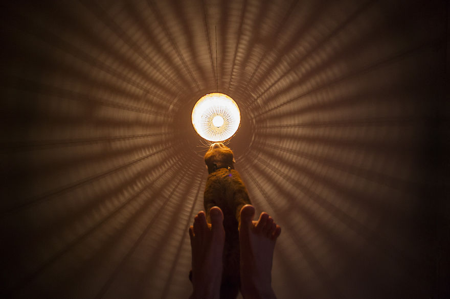 Meet Luccie: My Yawning And Stalking Cat Meet Luccie: My Yawning And Stalking Cat