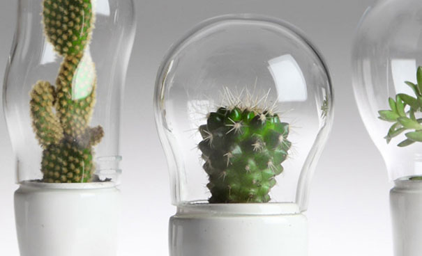 Artist&#8217;s Surreal Terrariums Give Plants Legs