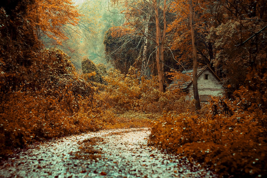 131 Little Lonely Houses For The Solitary Soul