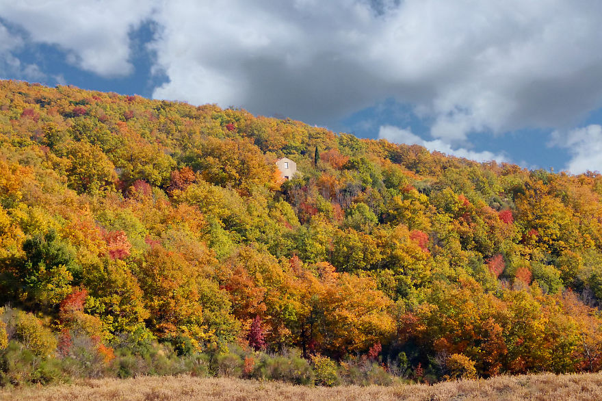 131 Little Lonely Houses For The Solitary Soul