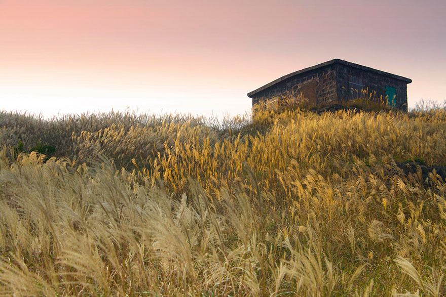 131 Little Lonely Houses For The Solitary Soul