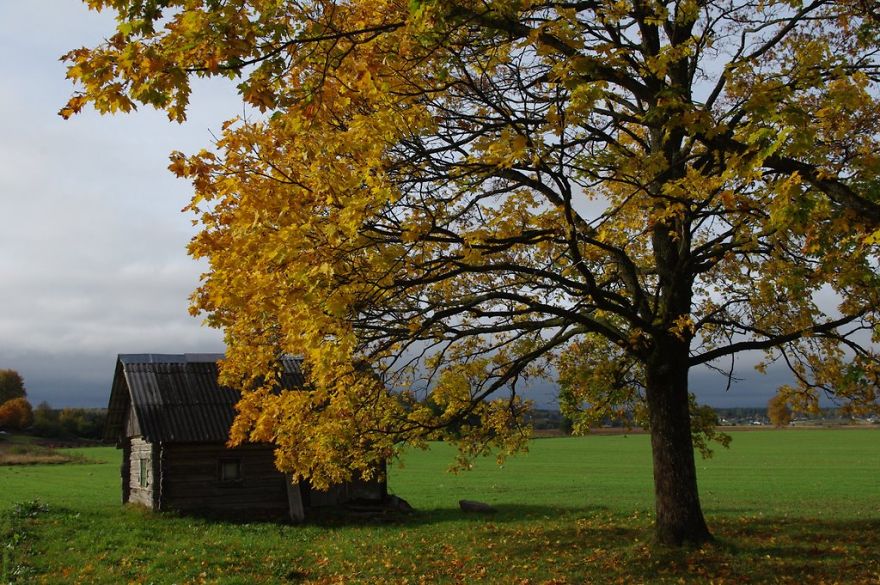 131 Little Lonely Houses For The Solitary Soul