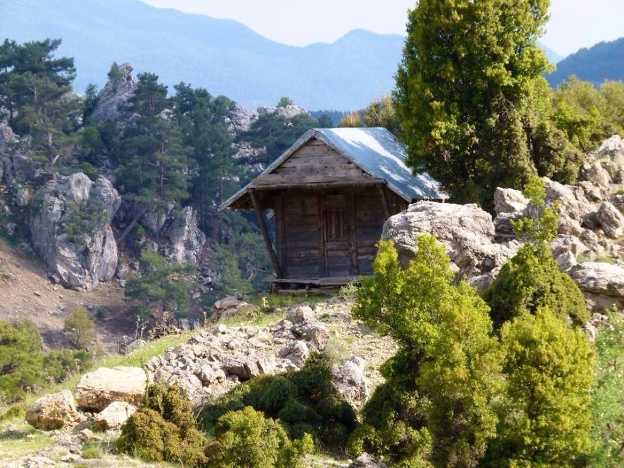 131 Little Lonely Houses For The Solitary Soul