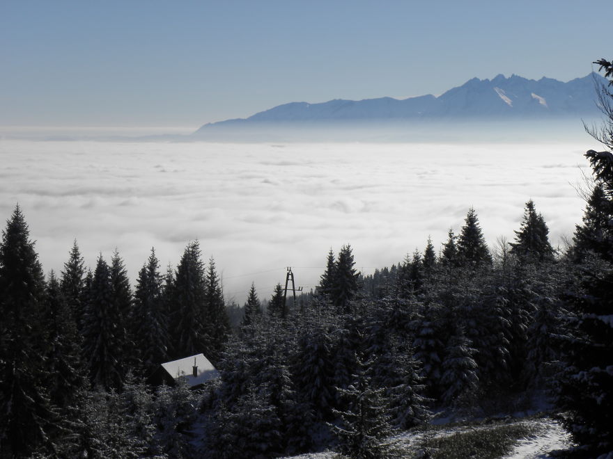 131 Little Lonely Houses For The Solitary Soul