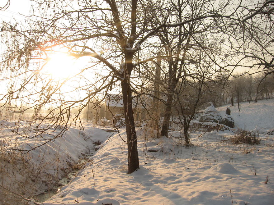 131 Little Lonely Houses For The Solitary Soul