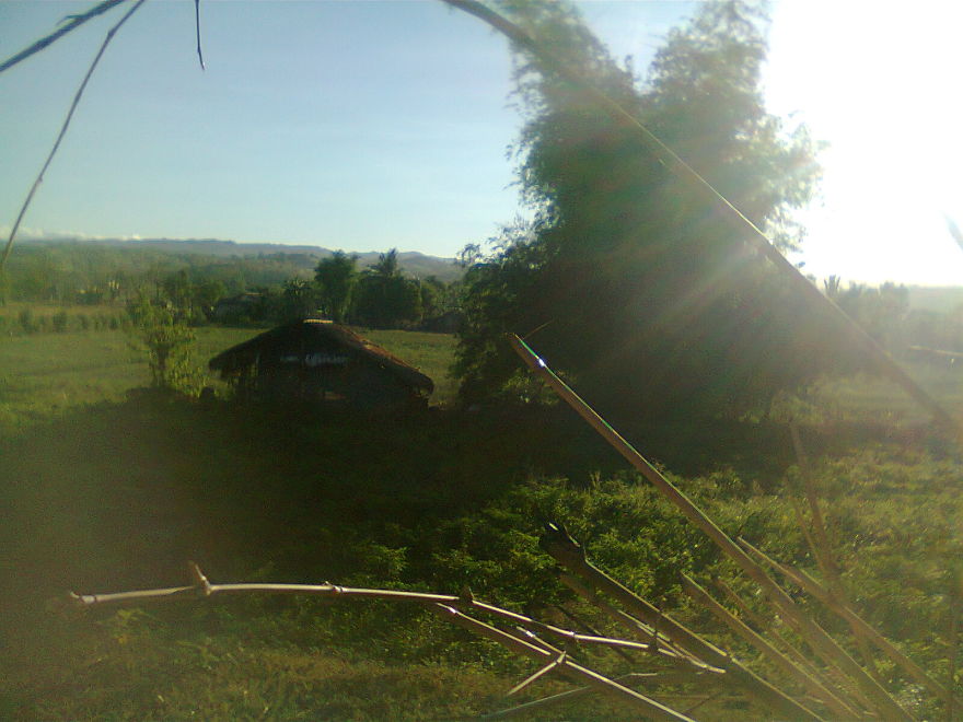 131 Little Lonely Houses For The Solitary Soul