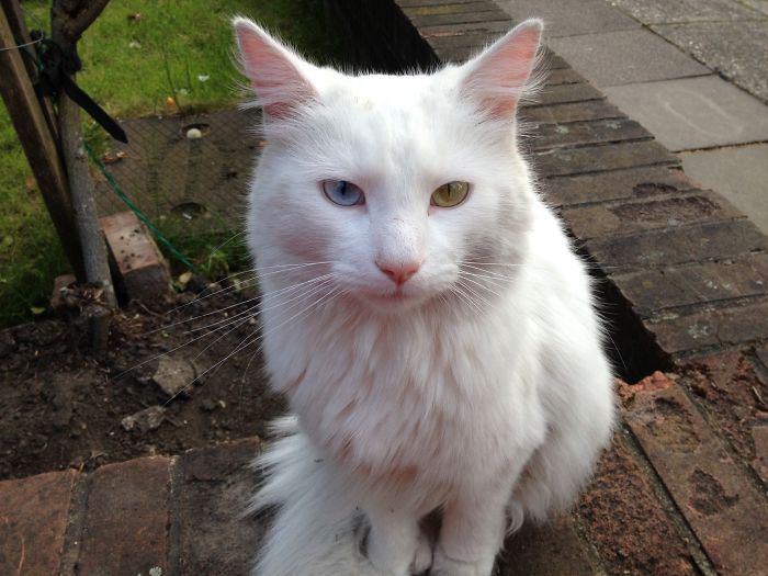 Weird Animals You Met Randomly Weird Animals You Met Randomly