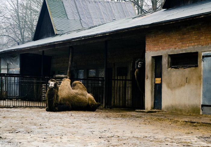 Weird Animals You Met Randomly Weird Animals You Met Randomly