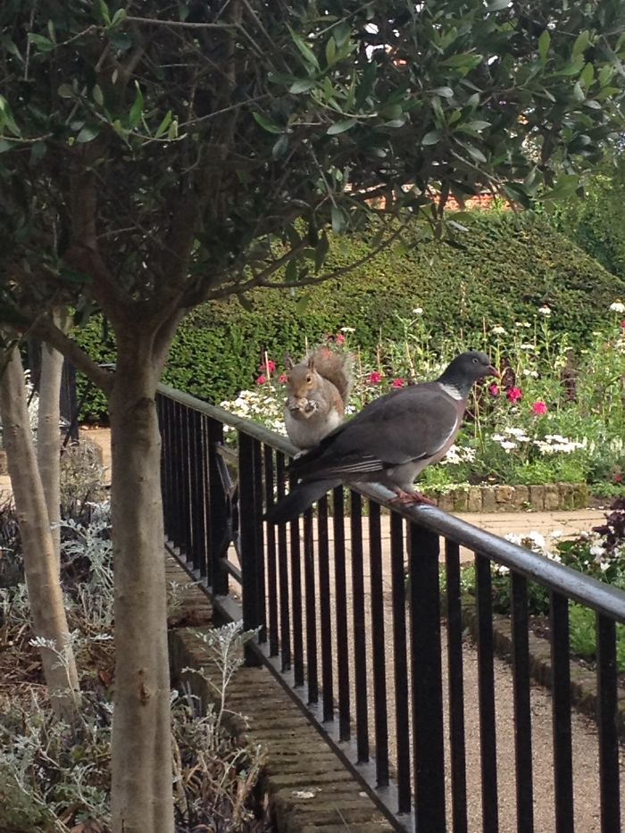 Weird Animals You Met Randomly Weird Animals You Met Randomly