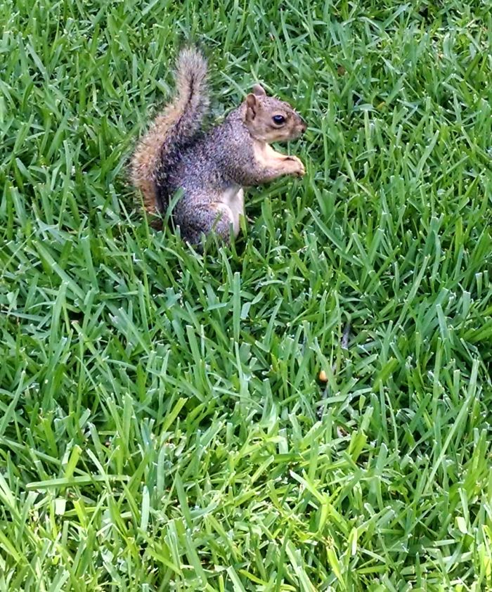 Weird Animals You Met Randomly Weird Animals You Met Randomly