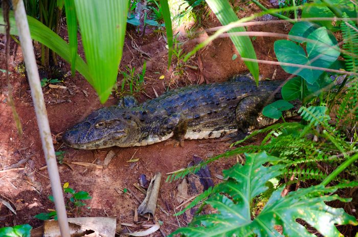 Weird Animals You Met Randomly Weird Animals You Met Randomly