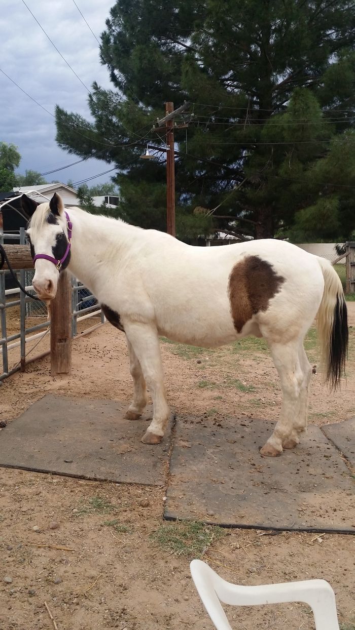 Weird Animals You Met Randomly Weird Animals You Met Randomly