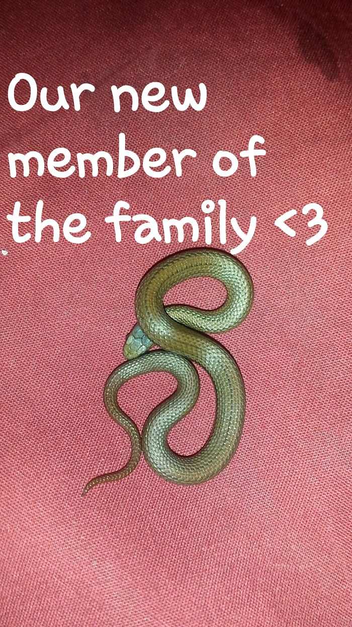 Weird Animals You Met Randomly Weird Animals You Met Randomly