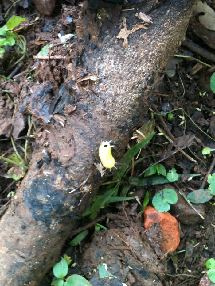 Weird Animals You Met Randomly Weird Animals You Met Randomly