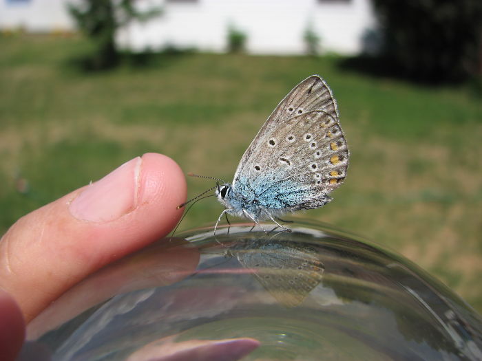 Weird Animals You Met Randomly Weird Animals You Met Randomly