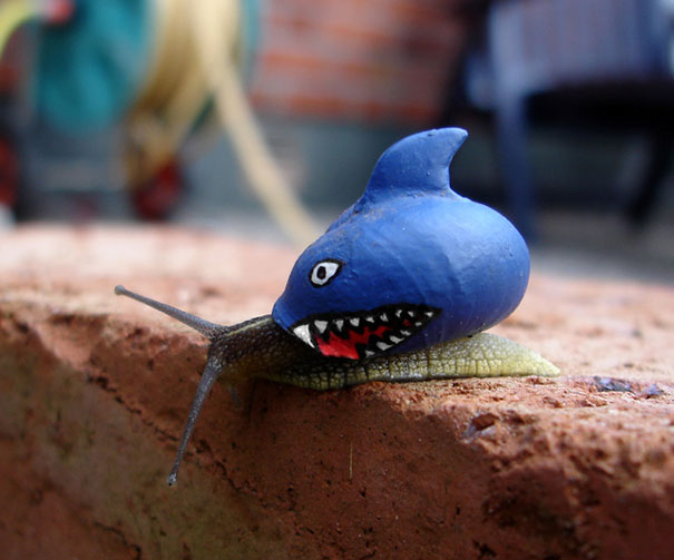 To Prevent Snails From Getting Stepped On, People Pimp Out Their Shells