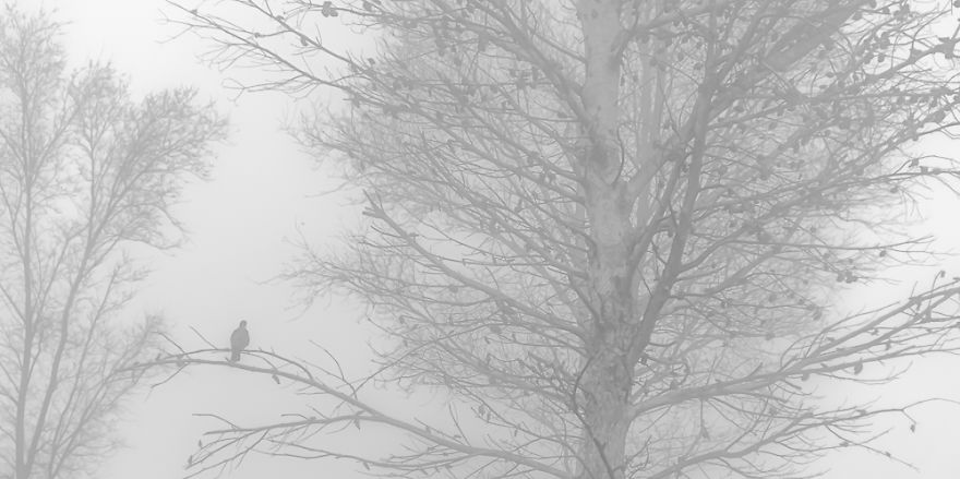 Share Your Pictures Of Misty Cities And Landscapes Share Your Pictures Of Misty Cities And Landscapes