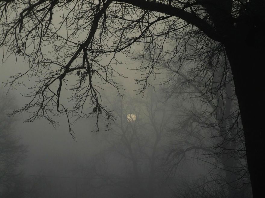 Share Your Pictures Of Misty Cities And Landscapes Share Your Pictures Of Misty Cities And Landscapes