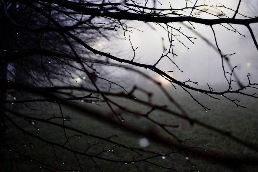 Share Your Pictures Of Misty Cities And Landscapes Share Your Pictures Of Misty Cities And Landscapes