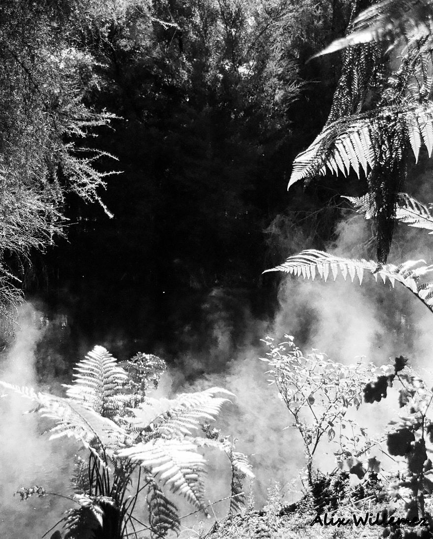 Share Your Pictures Of Misty Cities And Landscapes Share Your Pictures Of Misty Cities And Landscapes