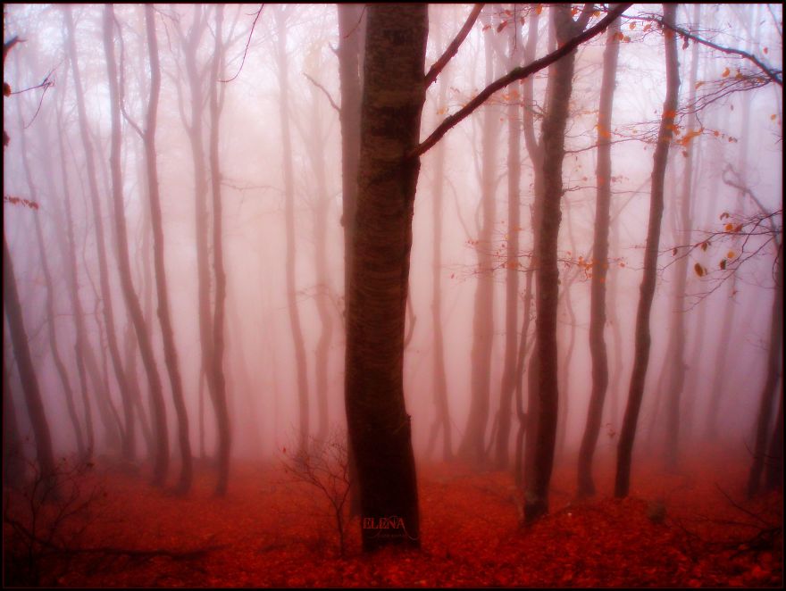 Share Your Pictures Of Misty Cities And Landscapes Share Your Pictures Of Misty Cities And Landscapes