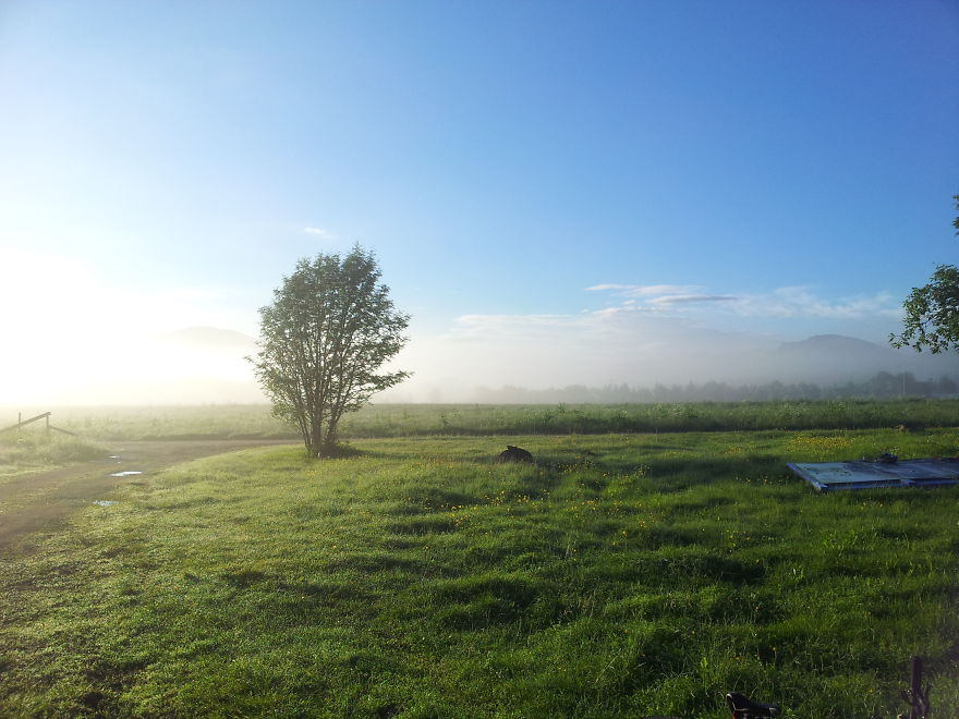 Share Your Pictures Of Misty Cities And Landscapes Share Your Pictures Of Misty Cities And Landscapes