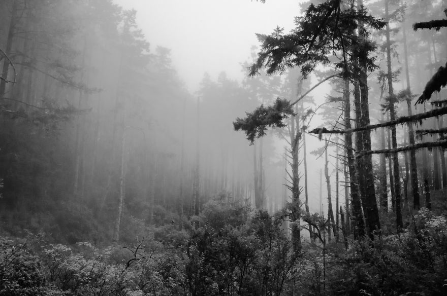 Share Your Pictures Of Misty Cities And Landscapes Share Your Pictures Of Misty Cities And Landscapes